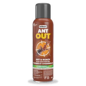 ant-out