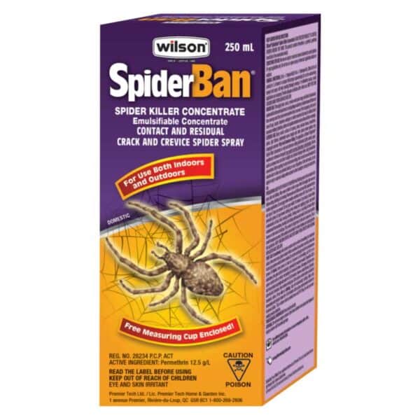 spider-ban