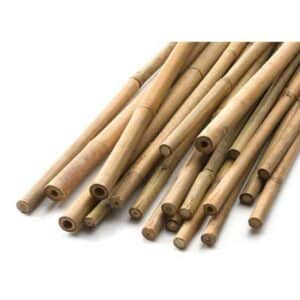 tuteur-bamboo