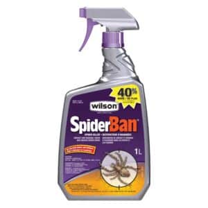 wilson-spider-ban-1l