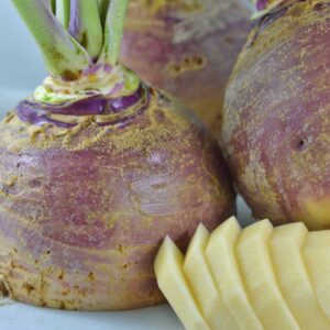 jardins-ecoumene-rutabaga-fortin-bio