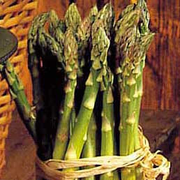 asparagus-verte