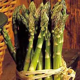 asparagus-verte