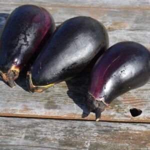 aubergine-black-bio