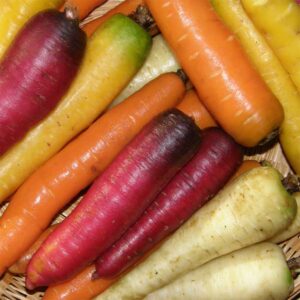 carotte-en-melange-bio