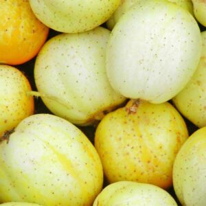 concombre-citron-bio