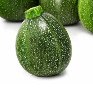 courgette-ronde-de-nice-bio