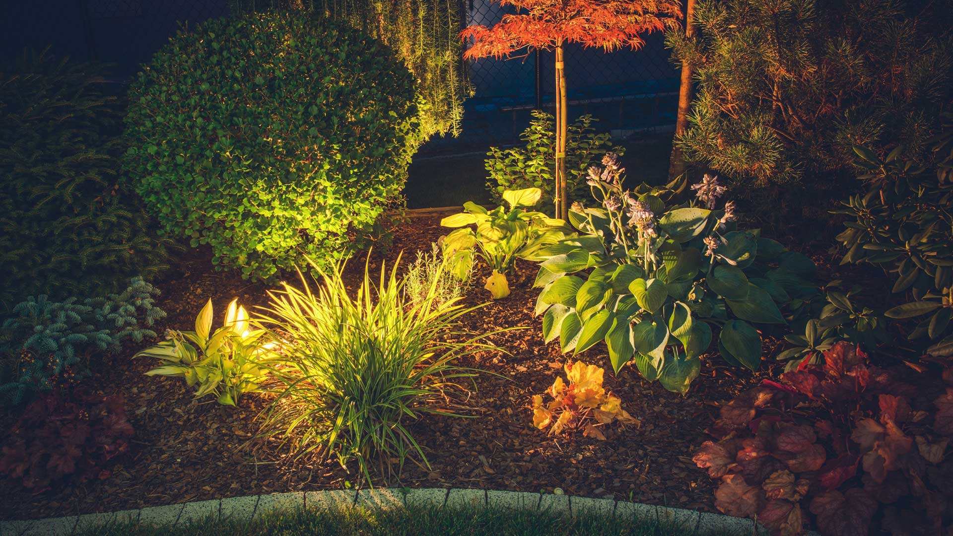 eclairage-paysager-transformer-votre-cour-en-oasis-des-la-tombee-du-jour