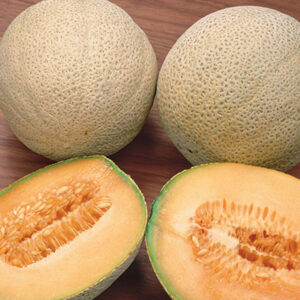Melone / Cucumis melo Planters Jumbo