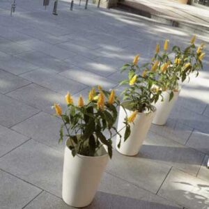 city-slab
