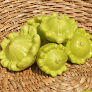 courge-patisson-jaune