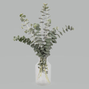 eucalyptus-baby-blue-bouquet