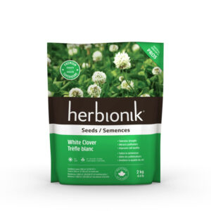 herbionik-trefle-blanc