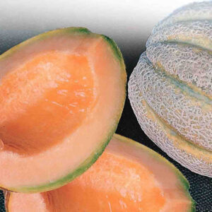 mckenzie-seeds-cantaloupe-delicious