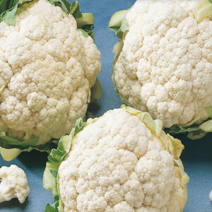 mckenzie-seeds-chou-fleur-boule-de-neige-hati