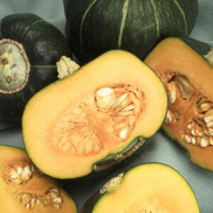 mckenzie-seeds-courge-buttercup