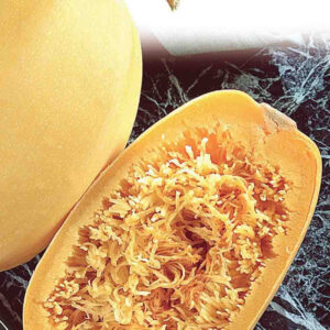 mckenzie-seeds-courge-spaghetti-pasta