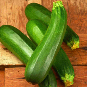 mckenzie-seeds-courgette-zucchini-vert-fonce