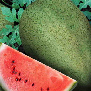 mckenzie-seeds-melon-d-eau-early-canada-ameli