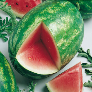 mckenzie-seeds-melon-deau-garden-leader-mons