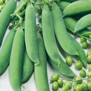 mckenzie-seeds-pois-mange-tout-sugar-sprint