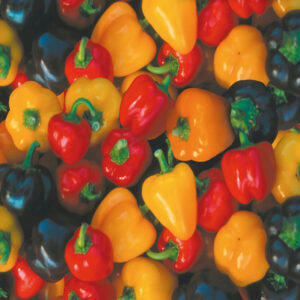 mckenzie-seeds-poivron-melange-mini-bell