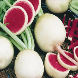 mckenzie-seeds-radis-watermelon