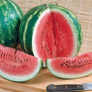 Wassermelone / Citrullus lanatus Candy Red