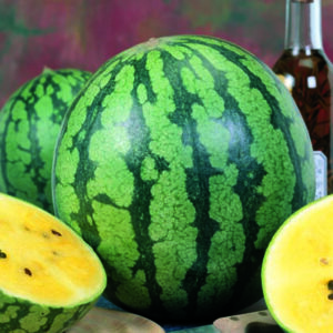 Wassermelone / Citrullus lanatus Yellow Baby
