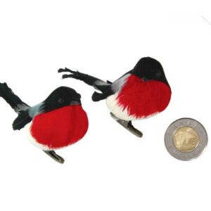 oiseaux-noir-rouge