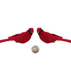 oiseaux-rouge-gorge