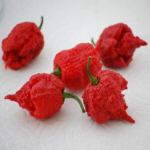 VF PEPPER CAROLINA REAPER