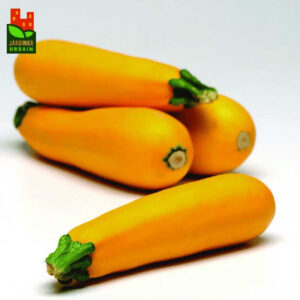 zucchini-easy-pick-jaune