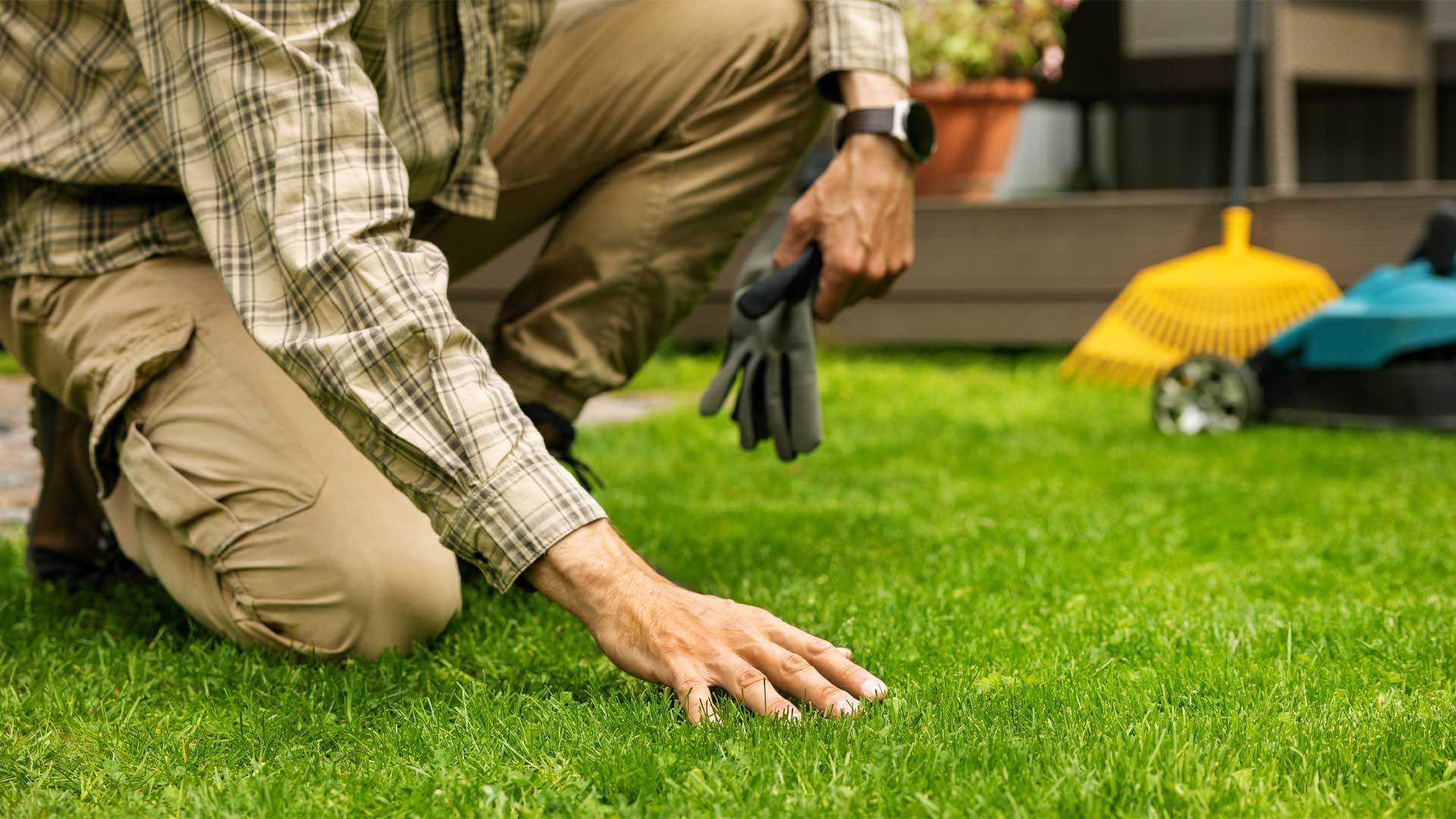comment-avoir-une-belle-pelouse-dense-et-verte