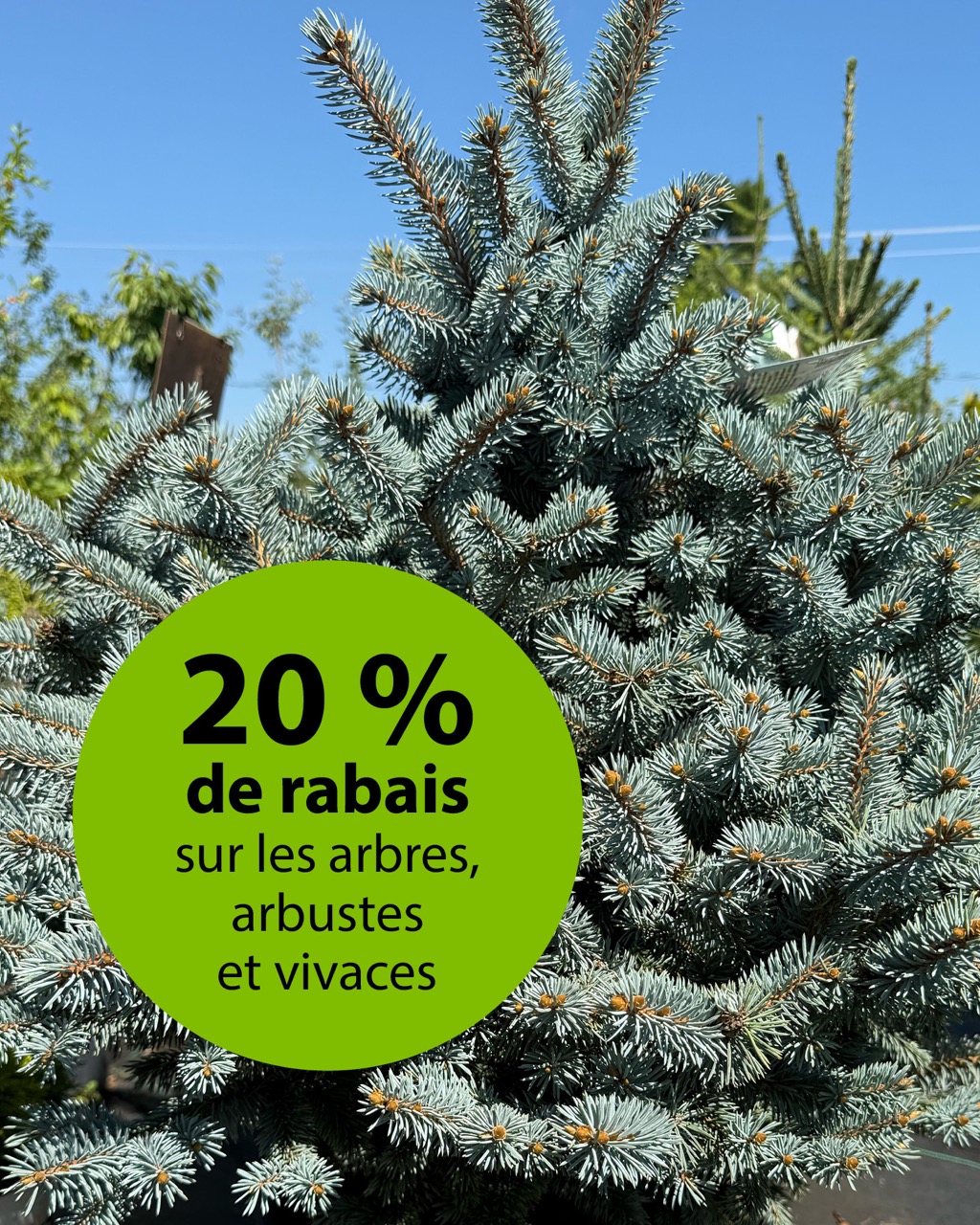 promo-arbres-arbustes-vivaces